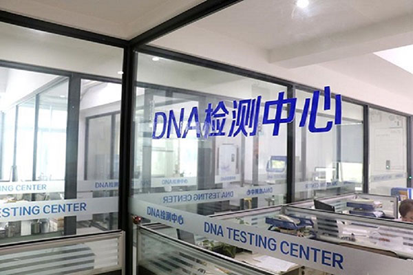 ɽDNA